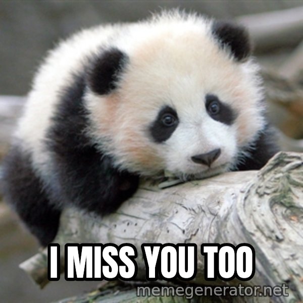 sad panda meme: I miss you too