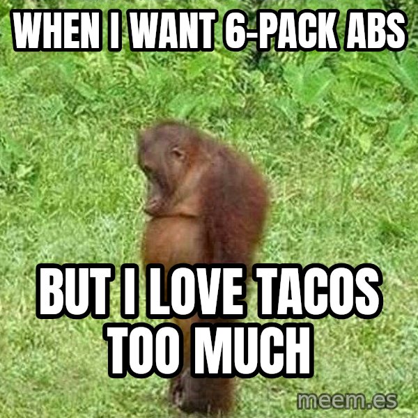 Orangutan Stan meme: When I want 6-pack abs / But I love tacos too much