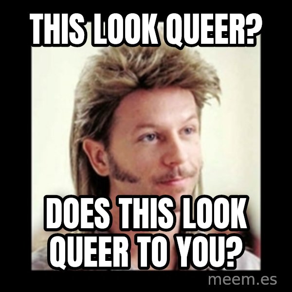 Joe Dirt meme: This look queer? / Does this look queer to you?