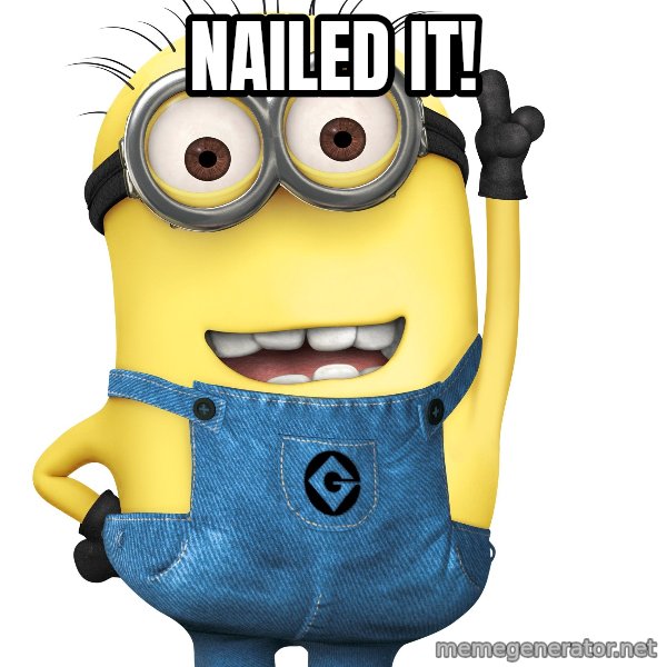 Despicable Me Minion meme: Nailed it!