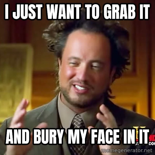Giorgio A Tsoukalos Hair meme: I just want to grab it / and bury my face in it