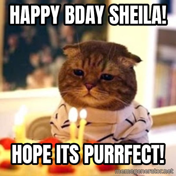 Birthday Cat meme: Happy Bday Sheila! / Hope its purrfect!