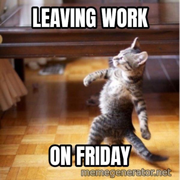 walking cat meme: leaving work / on friday