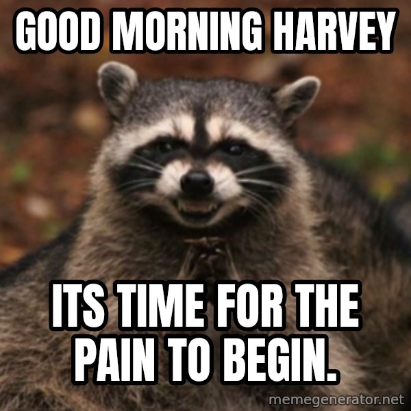 evil raccoon meme: Good Morning Harvey / Its time for the pain to begin.