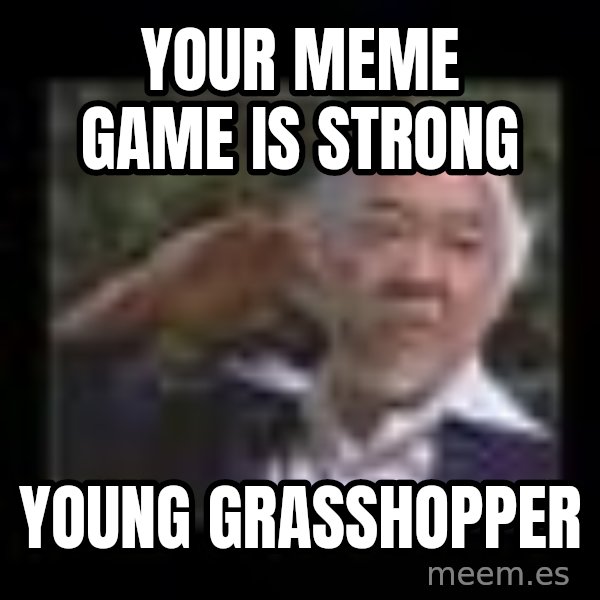 Mr Miyagi meme: your meme game is strong / young grasshopper