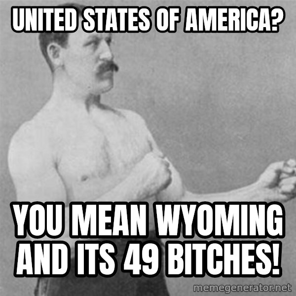 overly manlyman meme: UNITED STATES OF  AMERICA? / YOU MEAN WYOMING AND ITS 49 BITCHES!