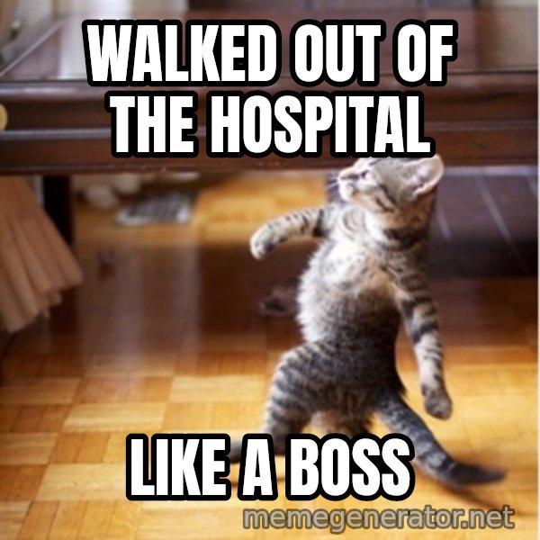 walking cat meme: Walked out of the hospital / Like a boss