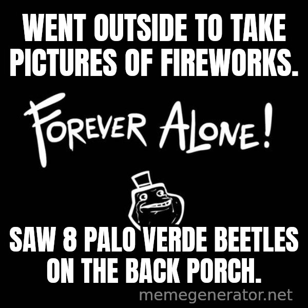 Homer Simpson Bush meme: Went outside to take pictures of fireworks. / Saw 8 palo verde beetles on the back porch.