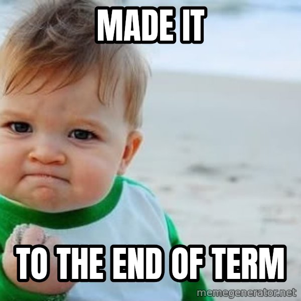 fist pump baby meme: Made it / to the end of term