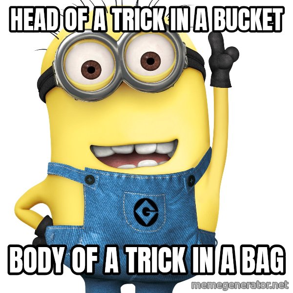 Despicable Me Minion meme: HEAD OF A TRICK IN A BUCKET / BODY OF A TRICK IN A BAG