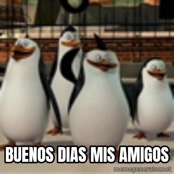 Madagascar Penguin meme: buenos dias mis amigos