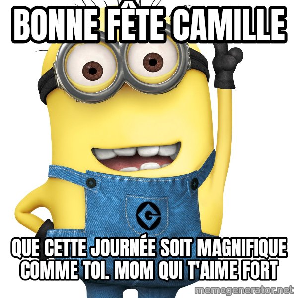 Despicable Me Minion meme: Bonne fête Camille / Que cette journée soit magnifique comme toi. Mom qui t'aime fort