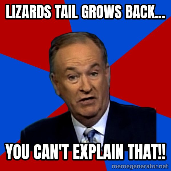 Bill O'Reilly Proves God meme: lizards tail grows back... / you can't explain that!!