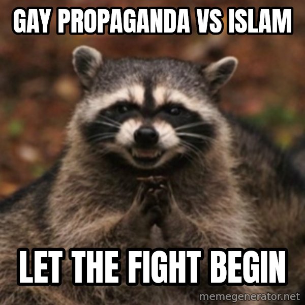 evil raccoon meme: Gay propaganda vs islam / let the fight begin
