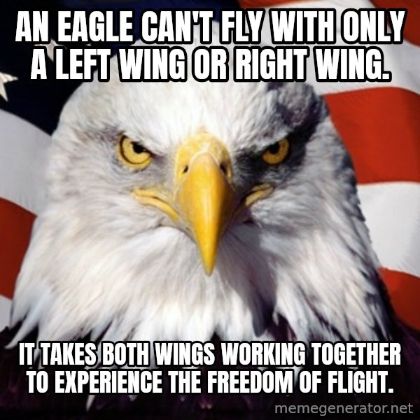 Freedom Eagle  meme: An eagle can't fly with only a left wing or right wing. / It takes both wings working together to experience the FREEDOM of flight.