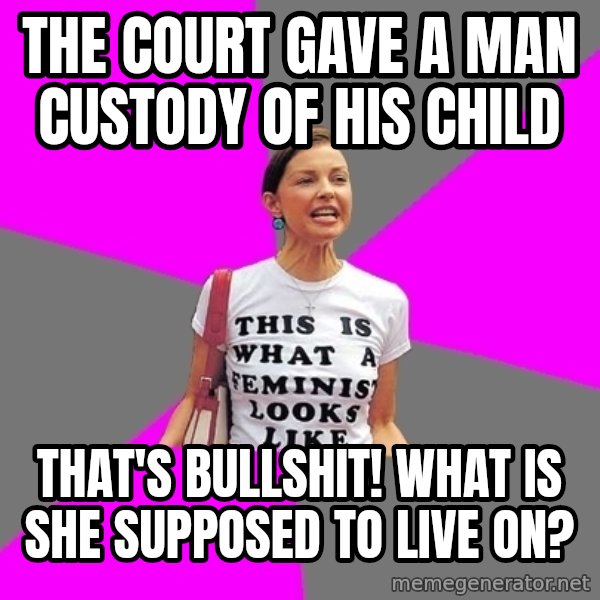 Feminist Cunt meme: the court gave a man custody of his child / that's bullshit! what is she supposed to live on?