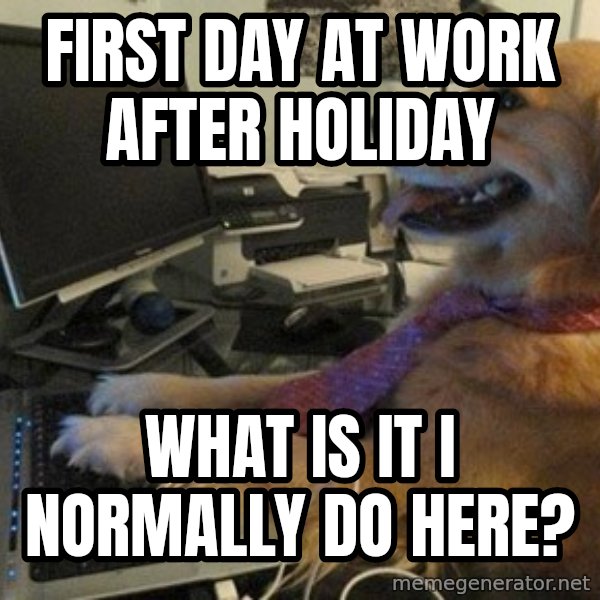 I have no idea what I'm doing - Dog with Tie meme: first day at work after holiday / what is it i normally do here?