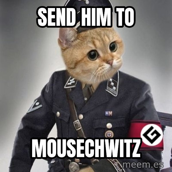 Nazi Cat meme: Send him to / mousechwitz