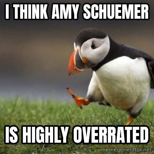 Unpopular Opinion Puffin meme: I think Amy Schuemer / Is HIGHLY overrated