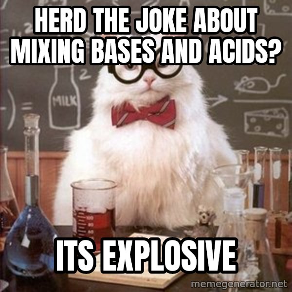 Chemistry Cat meme: Herd the joke about mixing bases and acids? / Its explosive