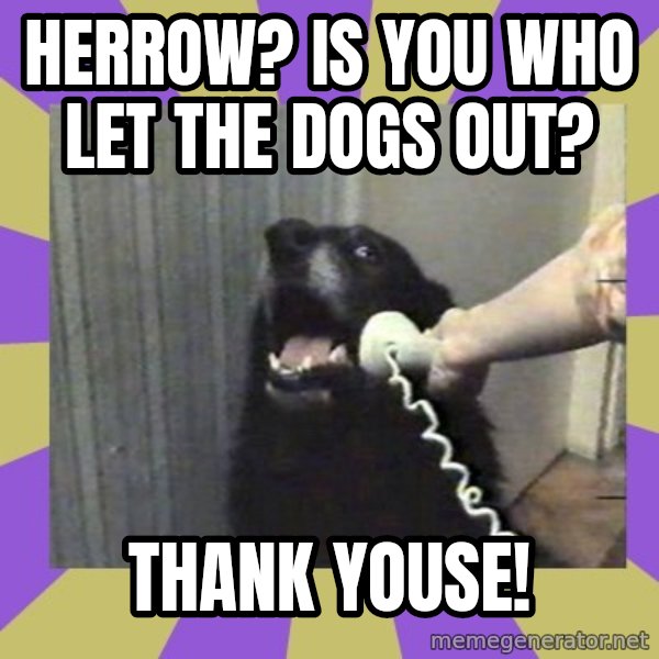Yes, this is dog! meme: Herrow? Is you who let the dogs out? / Thank youse!