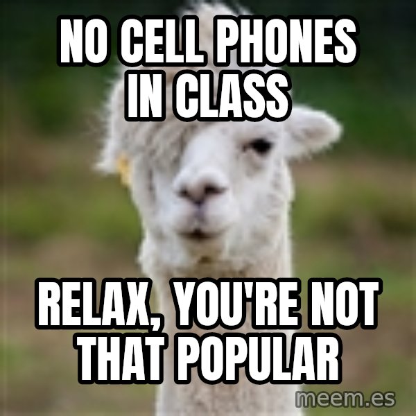 Hipster Llama meme: no cell phones in class / relax, you're not that popular