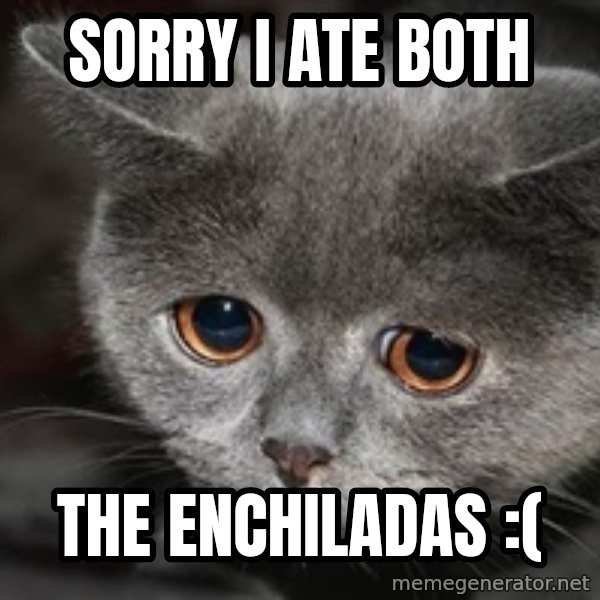 Sadcat meme: SORRY I ATE Both / The Enchiladas :(