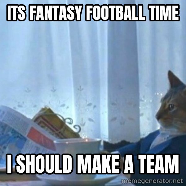 newspaper cat realization meme: Its Fantasy Football time / I should make a team