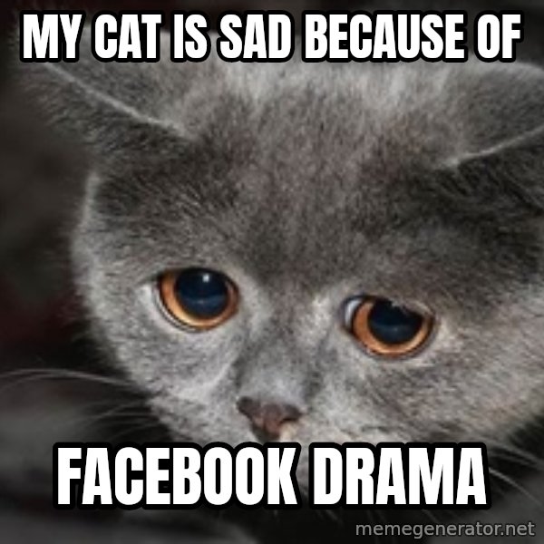 Sadcat meme: My cat is sad because of / Facebook drama