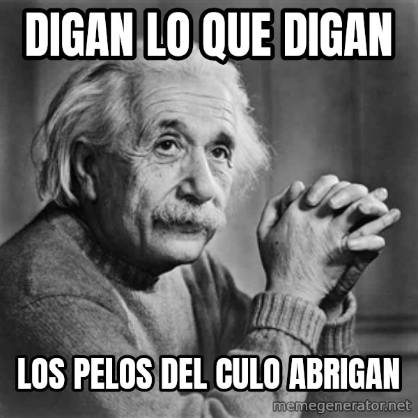 Albert Einstein meme: Digan lo que digan / los pelos del culo abrigan