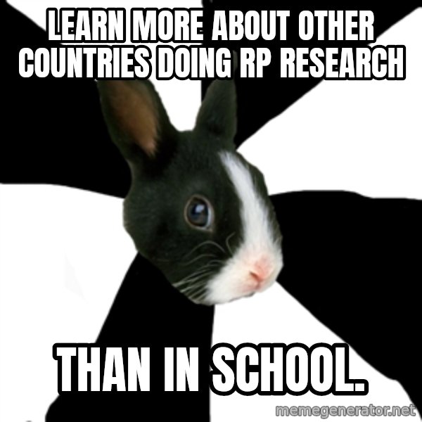 Roleplaying Rabbit meme: Learn more about other countries doing rp research / than in school.