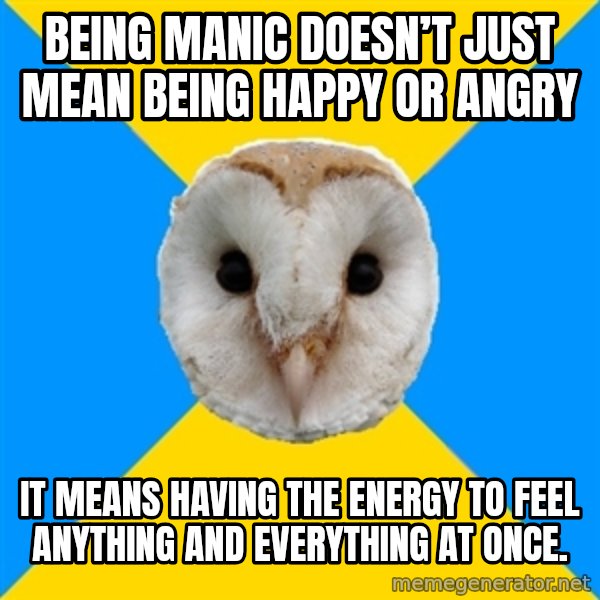 Bipolar Owl meme: Being manic doesn’t just mean being happy or angry / It means having the energy to feel anything and everything at once.