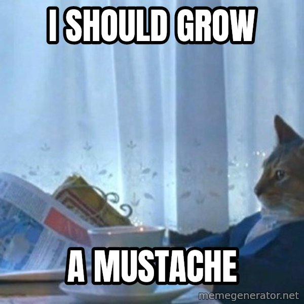 newspaper cat realization meme: I SHOULD GROW / A MUSTACHE