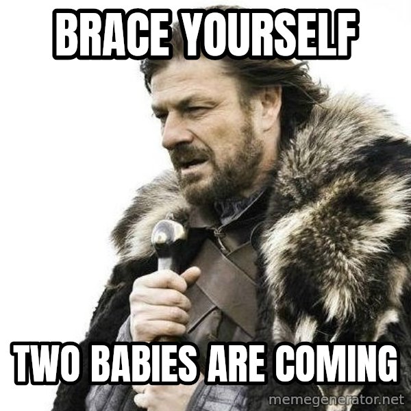 Brace Yourself Winter is Coming. meme: Brace yourself / Two babies are coming