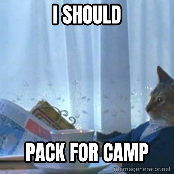 newspaper cat realization meme: I should / pack for camp