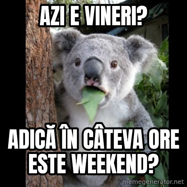 Koala can't believe it meme: Azi e vineri? / adică în câteva ore este weekend?