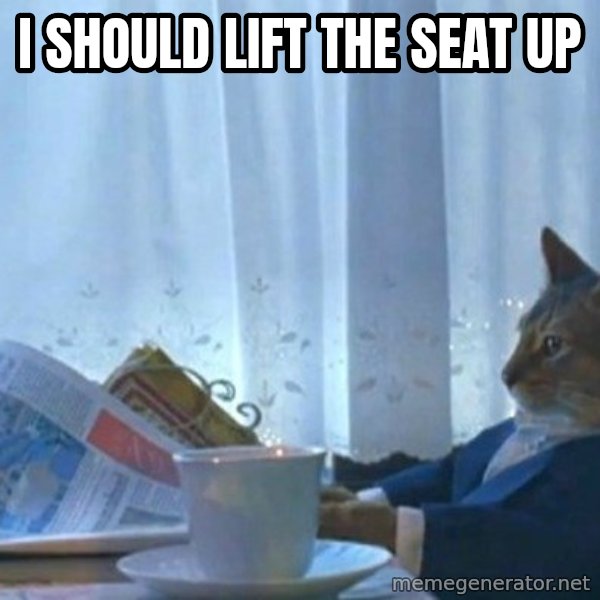 newspaper cat realization meme: I should lift the seat up