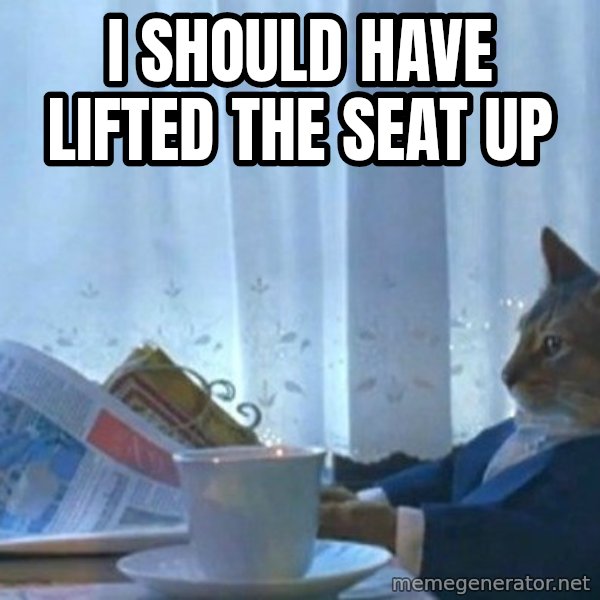 newspaper cat realization meme: I should have lifted the seat up