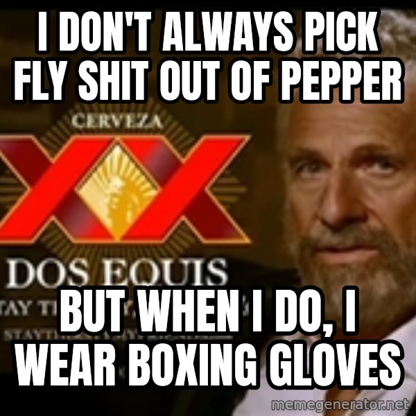 The Most Interesting Man In The World meme: I don't always pick fly shit out of pepper / But when I do, I wear boxing gloves