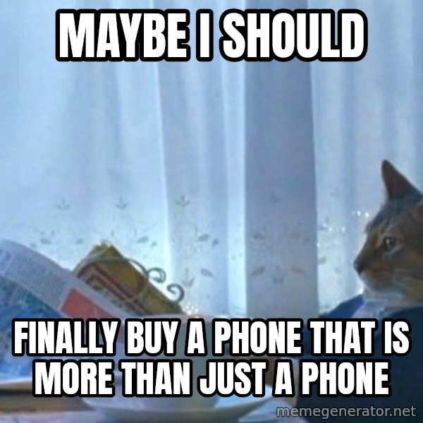 newspaper cat realization meme: MAYBE I SHOULD / FINALLY BUY A PHONE THAT IS MORE THAN JUST A PHONE