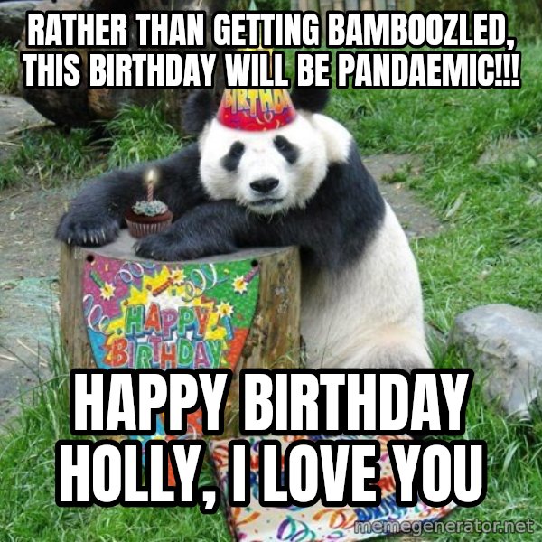 Happy Birthday Panda meme: RATHER THAN GETTING BAMBOOZLED, THIS BIRTHDAY WILL BE PANDAEMIC!!! / HAPPY BIRTHDAY HOLLY, I LOVE YOU