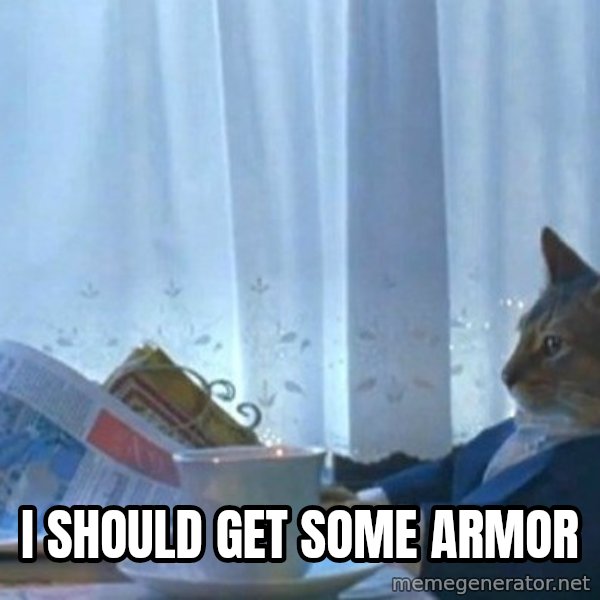 newspaper cat realization meme: I should get some armor