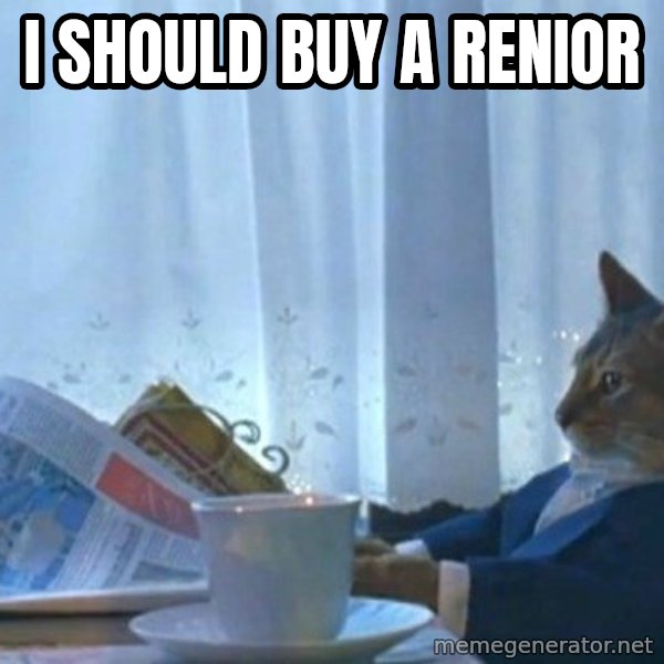 newspaper cat realization meme: I should buy a renior
