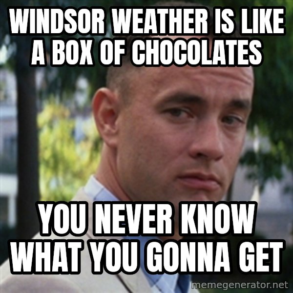 forrest gump meme: Windsor weather is like a box of chocolates / You never know what you gonna get