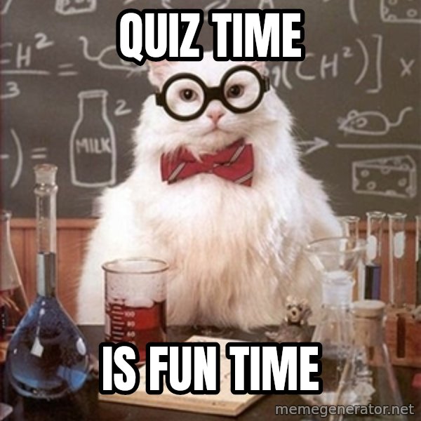 Science Cat meme: quiz time / is fun time