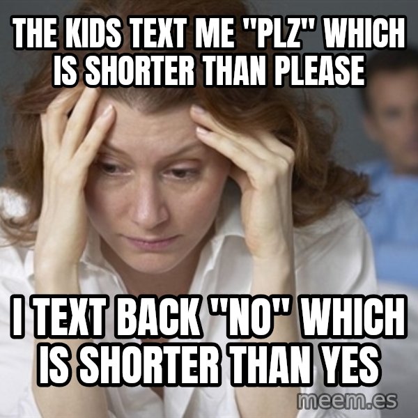 Single Mom meme: The kids text me "plz" which is shorter than please / I text back "no" which is shorter than yes