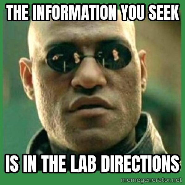 Matrix Morpheus meme: The information you seek / is in the lab directions