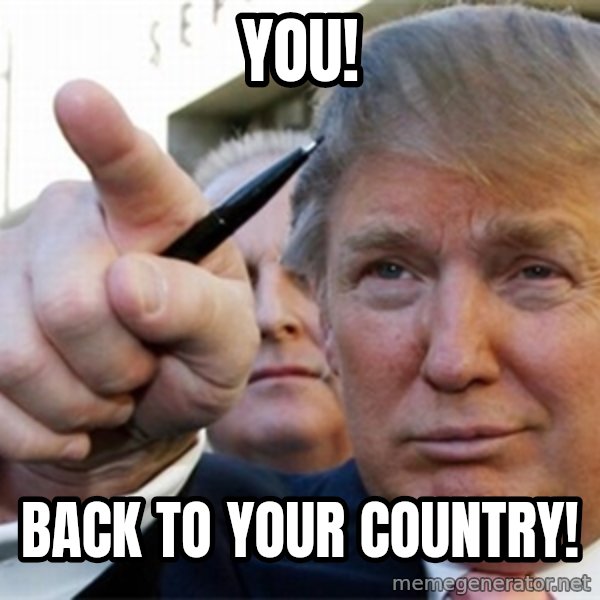 trump meme: You! / back to your country!