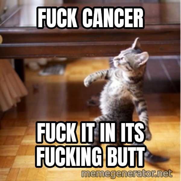 walking cat meme: Fuck Cancer / Fuck it in its fucking butt