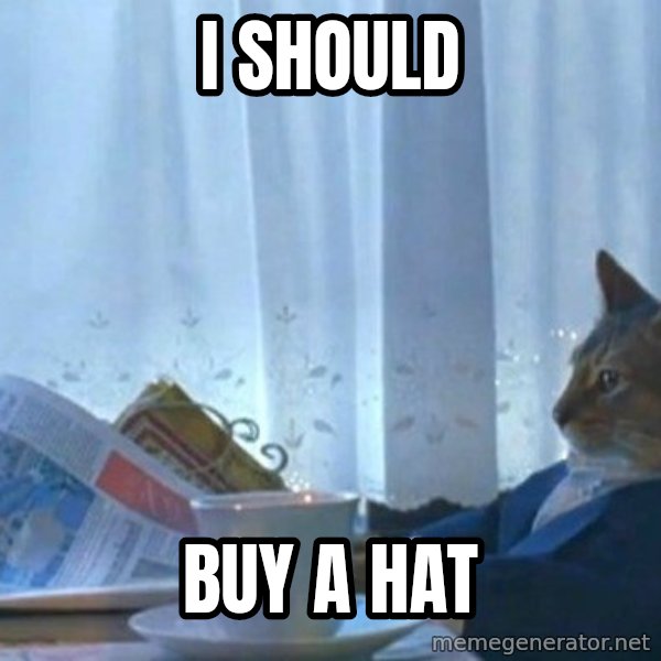 newspaper cat realization meme: I should / buy a hat